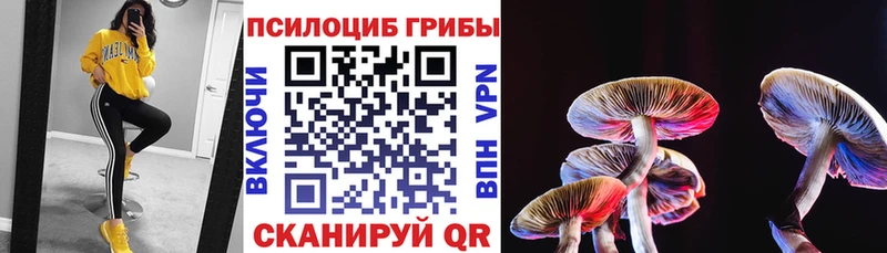 Псилоцибиновые грибы Cubensis  Красноуфимск 